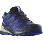 Preview: Salomon Schuhe XA PRO 3D V9 GTX Bluepr/Surf W/La