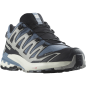 Preview: Salomon Schuhe XA PRO 3D V9 GTX Flint/Black/Ghos