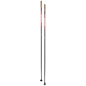 Preview: Swix Langlaufstock Quantum Q1  24/25