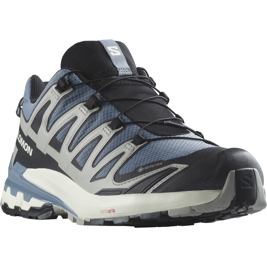 Salomon Schuhe XA PRO 3D V9 GTX Flint/Black/Ghos