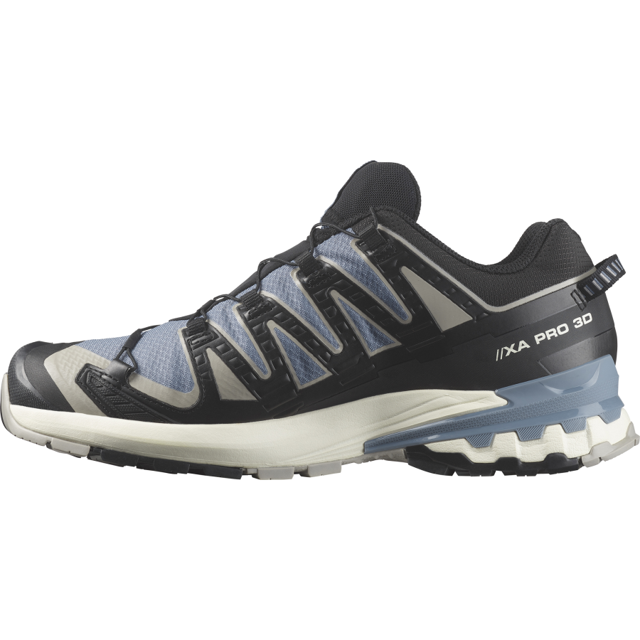 Salomon Schuhe XA PRO 3D V9 GTX Flint/Black/Ghos