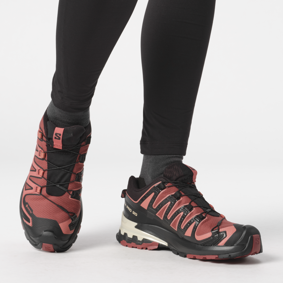 Salomon Schuhe XA PRO 3D V9 GTX W Cohide/Black