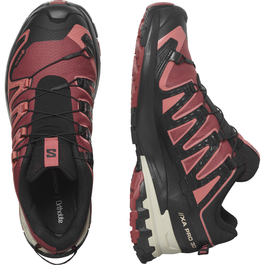 Salomon Schuhe XA PRO 3D V9 GTX W Cohide/Black