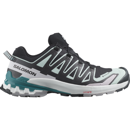 Salomon Schuhe XA PRO 3D V9 GTX W