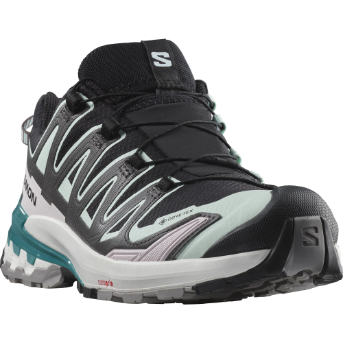 Salomon Schuhe XA PRO 3D V9 GTX W