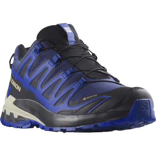 Salomon Schuhe XA PRO 3D V9 GTX Bluepr/Surf W/La