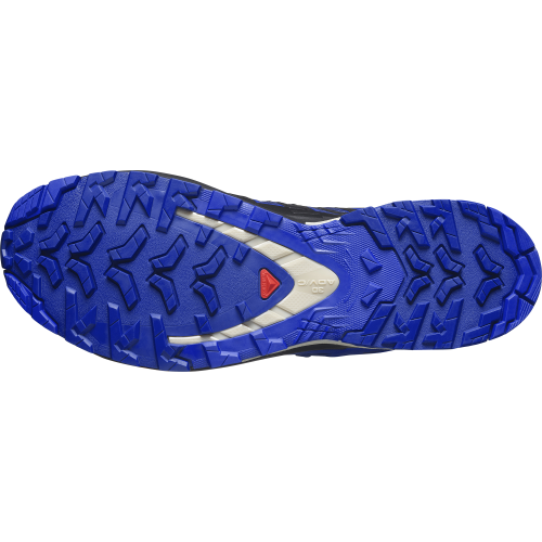 Salomon Schuhe XA PRO 3D V9 GTX Bluepr/Surf W/La
