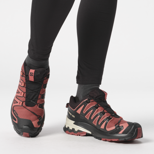 Salomon Schuhe XA PRO 3D V9 GTX W Cohide/Black