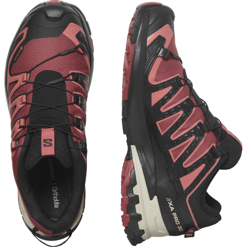 Salomon Schuhe XA PRO 3D V9 GTX W Cohide/Black