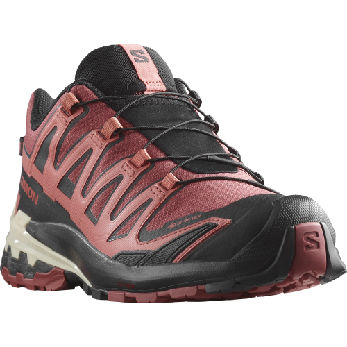 Salomon Schuhe XA PRO 3D V9 GTX W Cohide/Black
