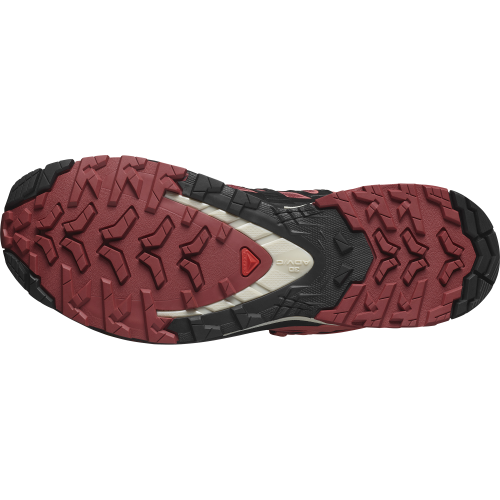 Salomon Schuhe XA PRO 3D V9 GTX W Cohide/Black